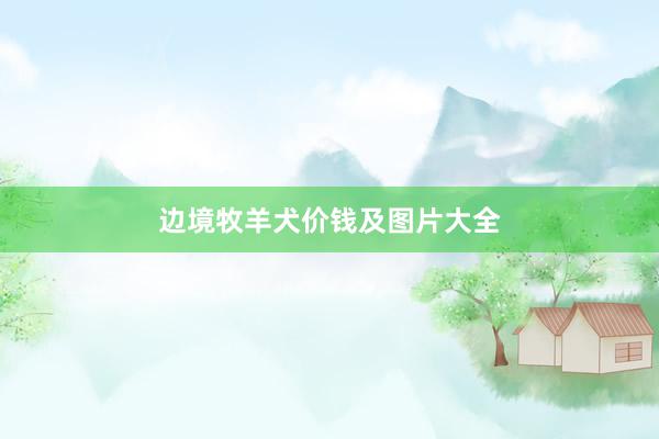 边境牧羊犬价钱及图片大全